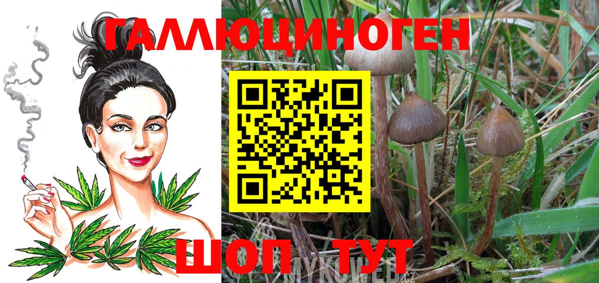 где найти наркотики  Псилоцибиновые грибы мухоморы  Вход с VPN  Лабытнанги 
